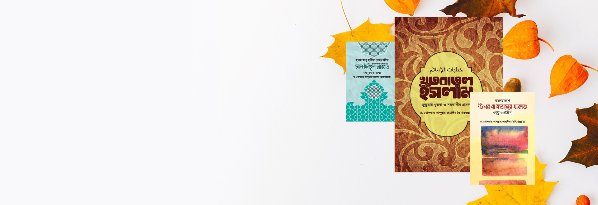 Image Slider