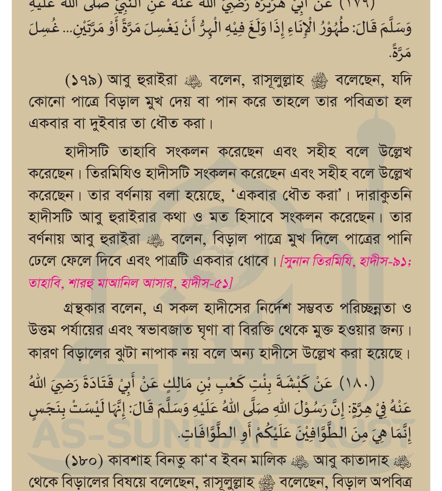 বিড়ালের ঝুটা