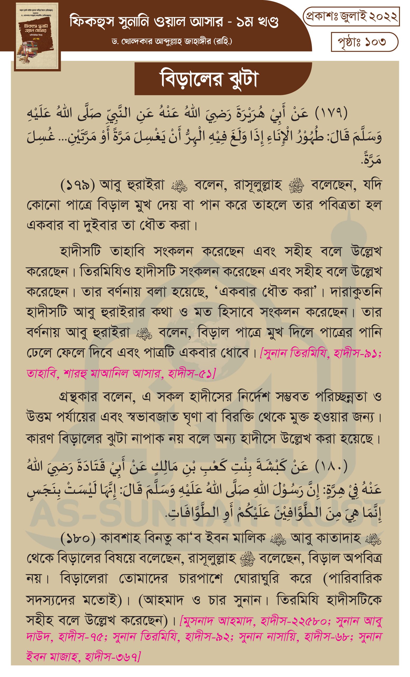 বিড়ালের ঝুটা